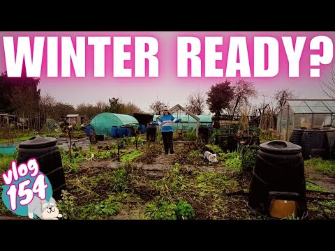 Ep154: Prep the plot for Winter | Is Mangelwurzel worth the hype?