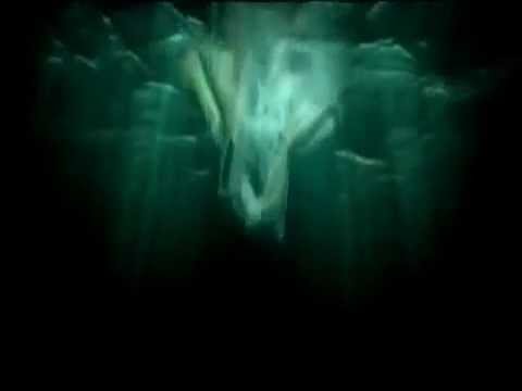 SHOWER PROMO 29 AGOSTO @ PISCINA GODENDA CLUB PADOVA