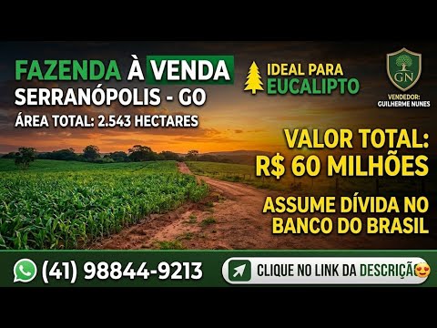 Fazenda de 2.543 Hectares à Venda em Serranópolis - GO | Ideal para Eucalipto