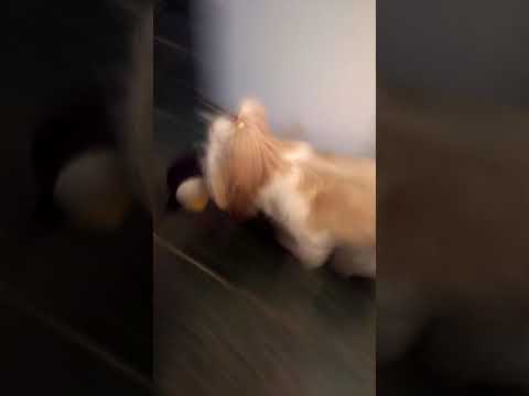 15 de março de 2019