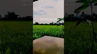 Download lagu Story wa 30 detik terbaru 2022 || Story wa keren terbaru || status wa galau terbaru - AZZ Story`` mp3 Download lagu Story wa 30 detik terbaru 2022 || Story wa keren terbaru || status wa galau terbaru - AZZ Story`` mp3