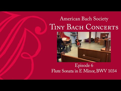 Flute Sonata in E Minor, BWV 1034 | Tiny Bach Concerts Episode 6