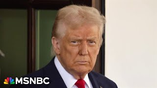 Tim Miller: ‘He wants to feel powerful and the tariff card allows him to do that’