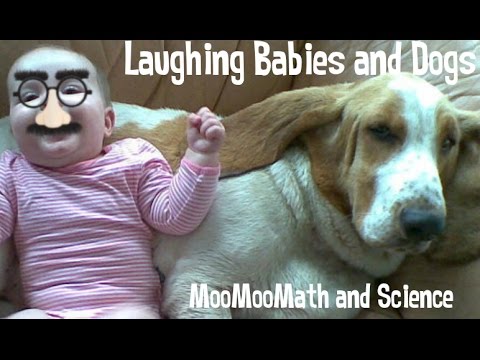 All These Giant Dogs Want Is To Play With Babies…