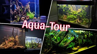 Van NANO tot MEGA, AL MIJN AQUARIUMS! //Nickey//