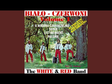 O Wrozko Czarodziejko