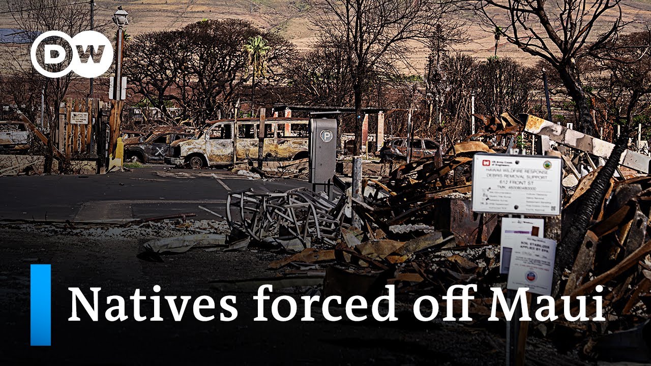 High housing prices force wildfire victims off Maui | DW News