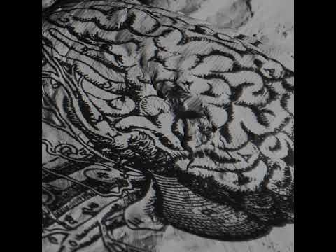 Brodsky ...Ferngespräche | Kapitel 6: Verse von der Winterkampagne des Jahres 1980