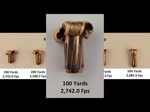 (6.5 CM) Nosler 120gr E-Tip Expansion Test