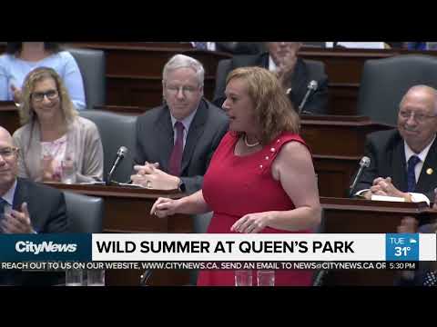 2018 08 14 A look back at eventful summer session at Queens Park CITY