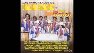 Pescadores  De Ensenada Chalino y banda brava