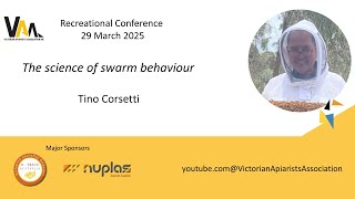 Scientific swarming, Tino Corsetti