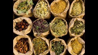The Secrets Of Herbal Medicine : Best Documentary Of All Time