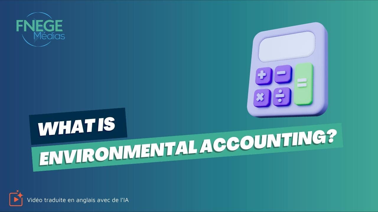 What is environmental accounting?