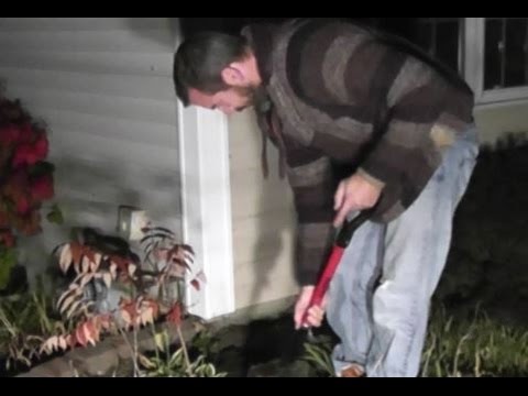 download lagu mp3 mp4 Planting Sumac Seeds, download lagu Planting Sumac Seeds gratis, unduh video klip Planting Sumac Seeds