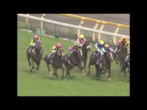 2005年安田記念　アサクサデンエン