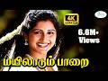 Mayilaadum Paarai மயிலாடும் பாறை Chithra Love H D Song