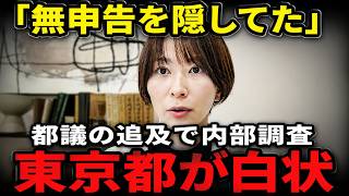 ※小池百合子は知らされていなかった…さとうさおりの指摘が副知事から知事へ上がっていった経緯【さとうさおり/小池百合子/東京都/消費税】