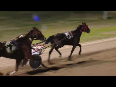 PENRITH - 16/06/2016 - Race 8 - ELITE SAND AND SOIL TROTTERS MOBILE