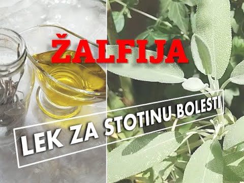 ŽALFIJA, LEK ZA STOTINU BOLESTI I RECEPTI| SAGE, THE MEDICINE FOR A HUNDRED DISEASES |RECIPES|