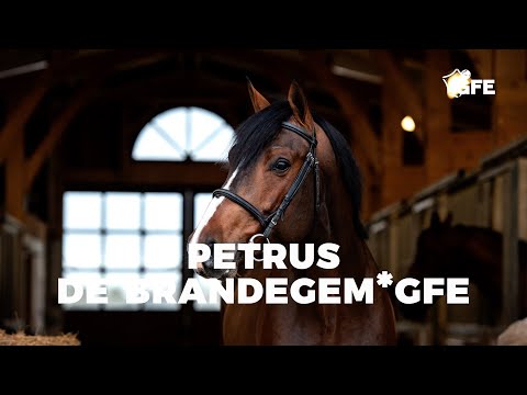 PETRUS DE BRANDEGEM*GFE