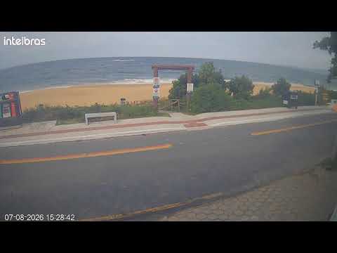 Camera Offline