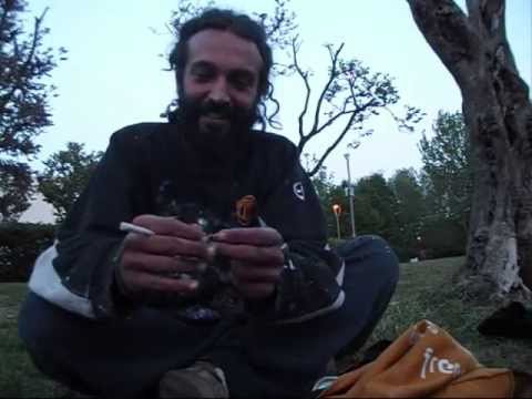 L' Alveare - L' INTERVISTA