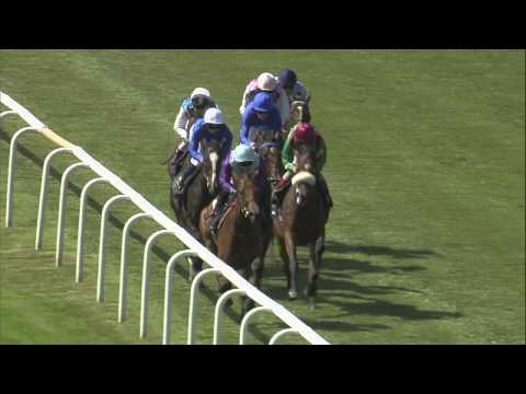 2015 QIPCO Falmouth Stakes - Amazing Maria - Racing TV