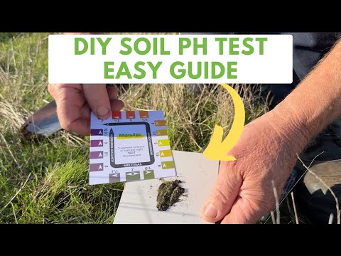 Easy DIY Soil PH Test - Step-By-Step Guide