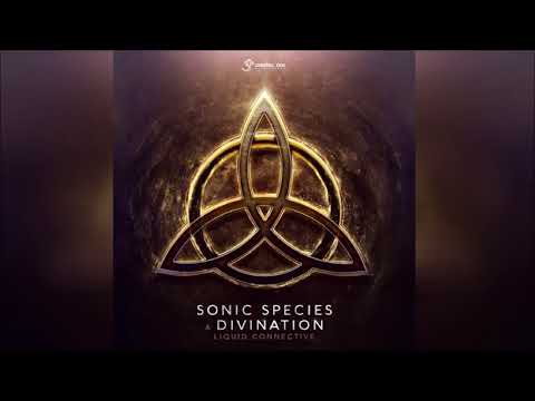 Sonic Species & Divination - Liquid Connective