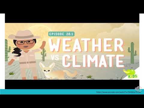 Video