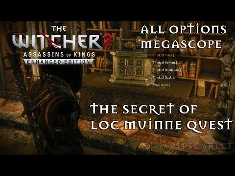 (All Option of Megascope) the secret of loc muinne quest - Witcher 2: Assasins of Kings