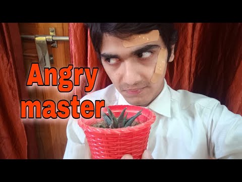 ASHISH BAJPAI Angry Maste...