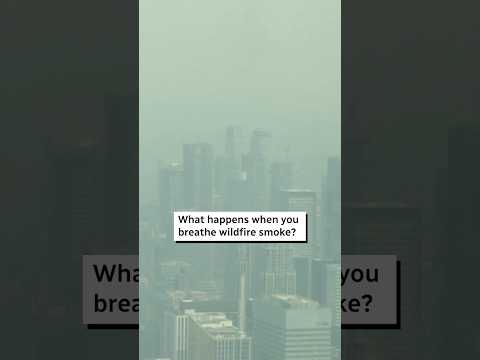 What happens when you breathe wildfire smoke? #shorts