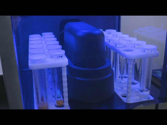 Sistema de digestión por microondas BLADE