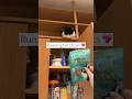 My HIGHLY Food Motivated Tuxedo Cat Loves To Run On Her Jungle Gym Yo Treats