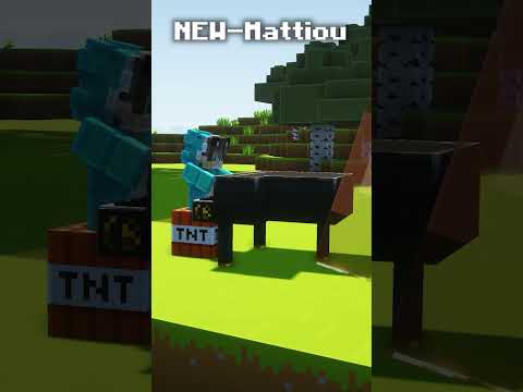 Combat EPIC | Minecraft Meme Short Animation