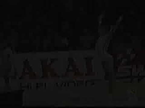 Marilena Vladarau 1978 Worlds Tean Finals Vault