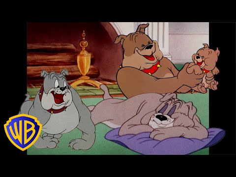 Tom & Jerry | Best of Spike 🐶 | Classic Cartoon Compilation | @wbkids​