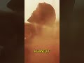 Rocky Bhai Yash Royal Entry Royal Attitude Status Shorts Shortsfeed Viral Kgf2 Kgfchapter2