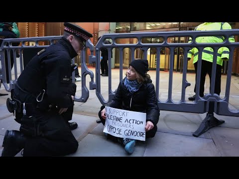 Greta ‘I support the latest thing’ Thunberg arrested in UK