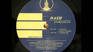 dash - everlast