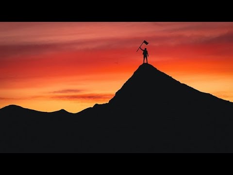 DJ cyborg wolf - Serene Victory