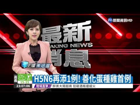 H5N6再添1例! 善化蛋種雞首例