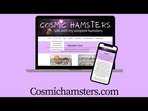 Everything your hamster actually needs @ Cosmichamsters.com #hamstercare  #pethealth 
