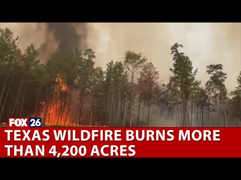 Texas wildfire grows to burn more than 4,200 acres, 40% contained
