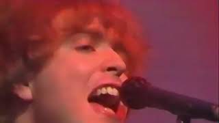 THE ICICLE WORKS performing EVANGELINE