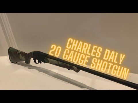 CHARLES DALY 601 Semi-Automatic Shotgun FIRST SHOT Review