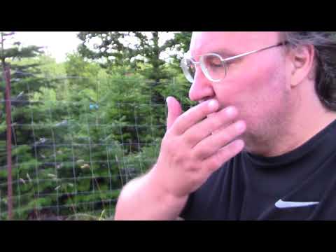 MongoTV_1326 - Del 7 - Min Rodet TO Gange SKOVTUR i Dag