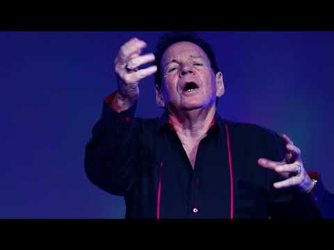 Steve Ashley - 'I'll Never Fall In Love Again'